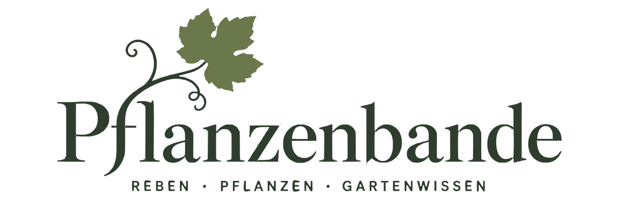Pflanzenbande – zur Startseite